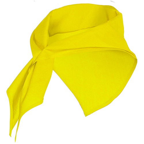 Foulard triangulaire JARANERO Foulard triangulaire JARANERO