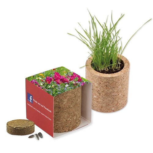 Pot rond en liège avec graines - Mélange de fleurs d'été