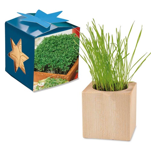 erbe aromatiche