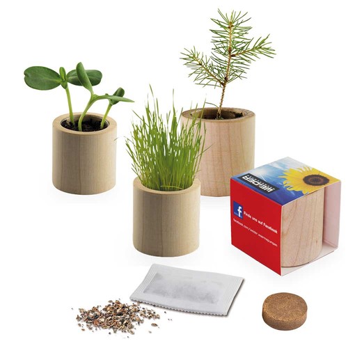 Houten plantenset rond met zaden - Goudsbloem Houten plantenset rond met zaden - Goudsbloem