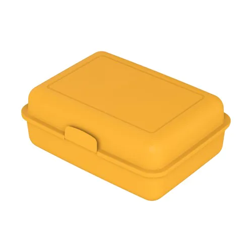 lunch box lunch box