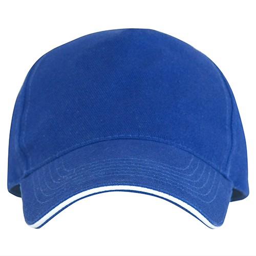 5 panels cap. ERIS