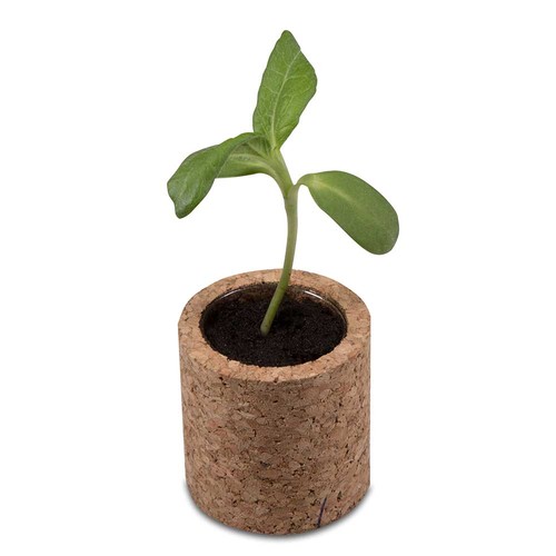 Pot rond en liège avec graines - Mélange de fleurs d'été Pot rond en liège avec graines - Mélange de fleurs d'été