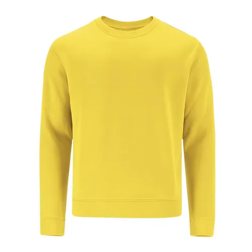 bluza