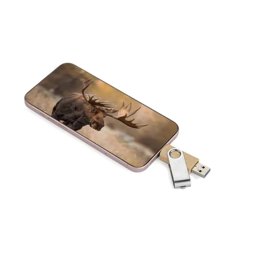 Clé USB 3.0 OTG TWISTER-PRO 32GB Clé USB 3.0 OTG TWISTER-PRO 32GB