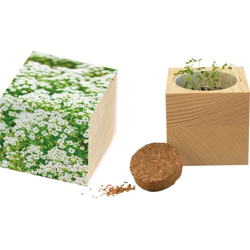 Big Nature Cube Carpet of Snow Big Nature Cube Carpet of Snow