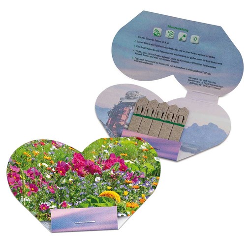 Bâtonnets de graines - coeur - Mélange de fleurs d'été Bâtonnets de graines - coeur - Mélange de fleurs d'été