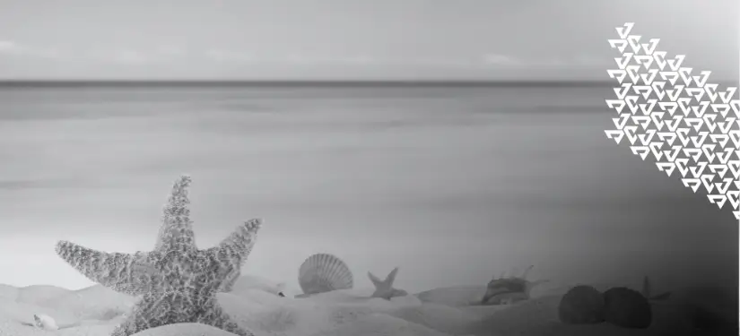 werbeartikel-sommer-strand-urlaub-reisen werbeartikel-sommer-strand-urlaub-reisen