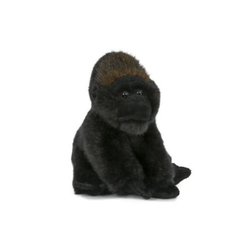 Peluche Peluche