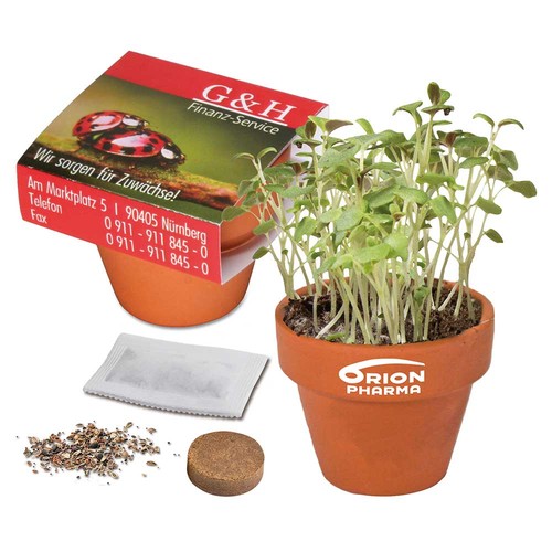 Logo-pot with seeds - teracotta - Four-leaf clover