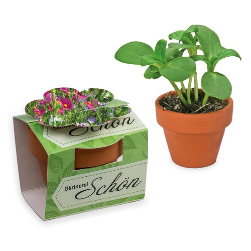Mini pot terre cuite en fourreau fleur avec graines - Mélange de fleurs d'été