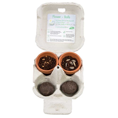 Boxed pleasure - Green-Mix - sunflower