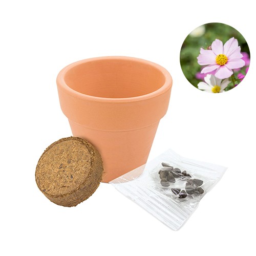 Clay pot with seeds Crespadoro