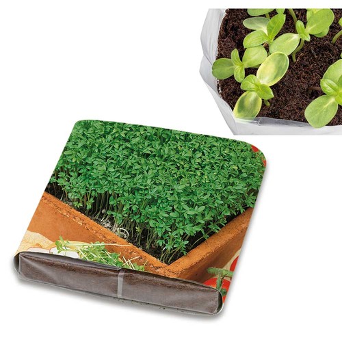 Set de plantation Pop-up avec graines - Cresson de jardin Set de plantation Pop-up avec graines - Cresson de jardin