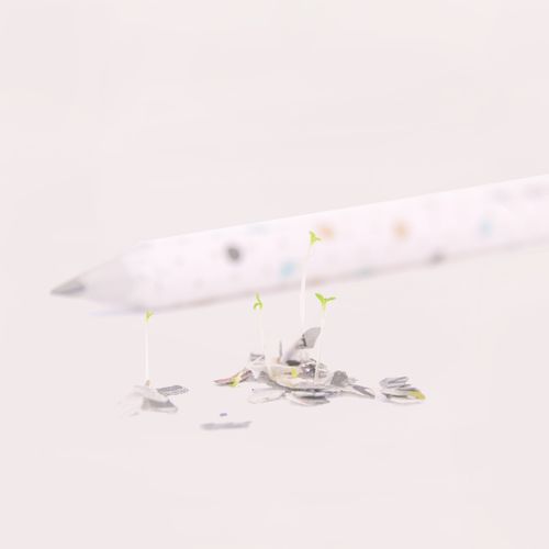 Crayon avec des graines Crayon avec des graines