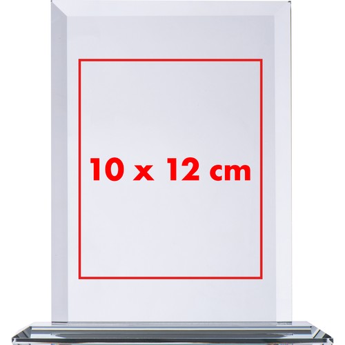 Gran trofeo en cristal.