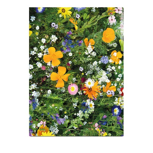 fiore