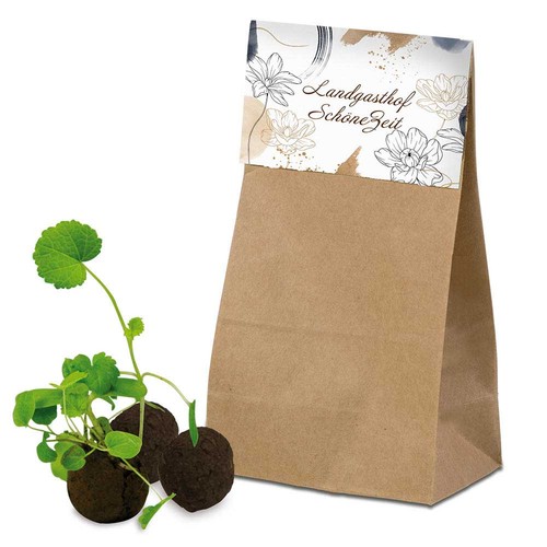 Boule-Fleurs avec graines - 3 dans sachet