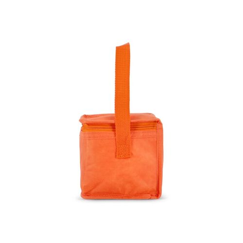 R-PET 6 Sac isotherme non tissé 20x 13 x 12.5cm 75g/m² R-PET 6 Sac isotherme non tissé 20x 13 x 12.5cm 75g/m²