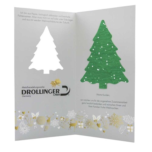 Kerstkaart met kerstboom groeipapier - Spar - 4/0- c