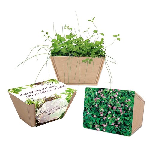 Mini-jardinière bois avec graines - Trèfle persan