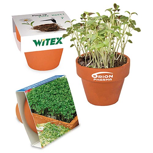 Mini logo-pot paper band with seeds - Cress