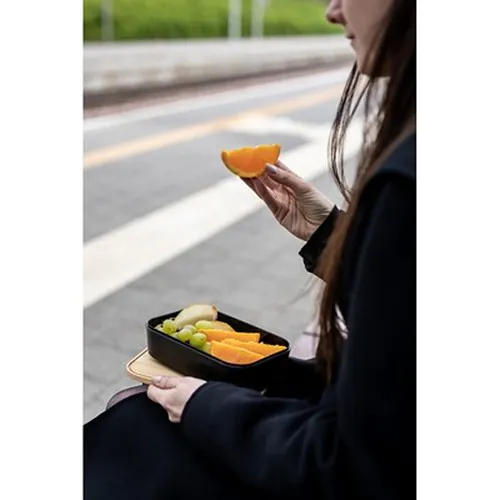 contenitore per il pranzo contenitore per il pranzo