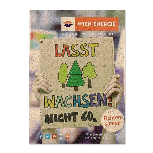 fiore fiore