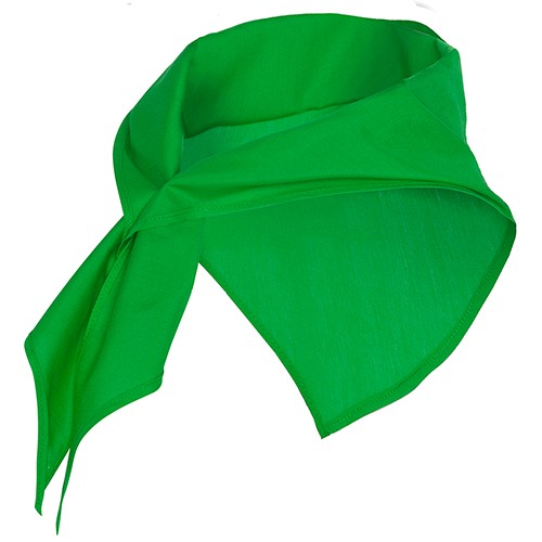 Foulard triangulaire JARANERO Foulard triangulaire JARANERO