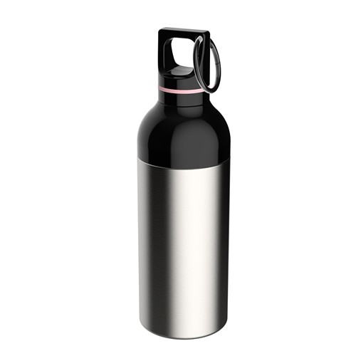 Gourde RETUMBLER-DUIX STEEL