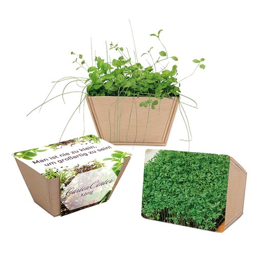 Mini-jardinière bois avec graines - Cresson de jardin