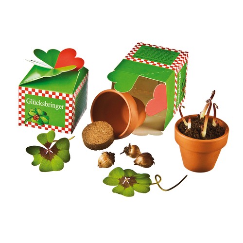 Geluk in een doos - Plantset - Rode klaver Geluk in een doos - Plantset - Rode klaver
