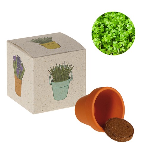 Cube de graines promotionnel (papier d'herbe) - Cresson Cube de graines promotionnel (papier d'herbe) - Cresson
