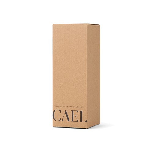 VINGA Bouteille Isotherme 600ml Cael en acier RCS