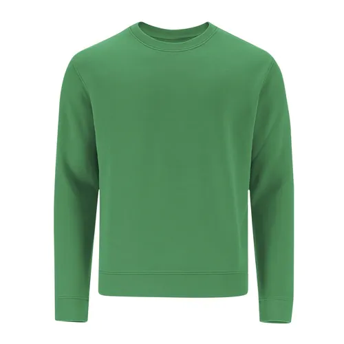 bluza