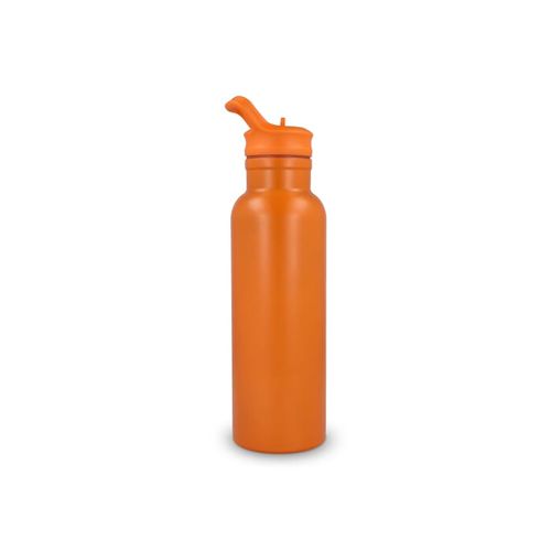 Darion Thermo fles 500ml