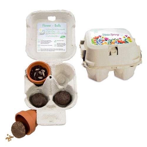 Boxed pleasure - Green-Mix - Egg tree seeds