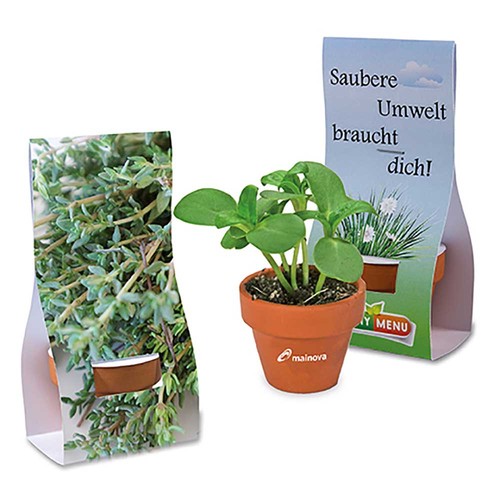 Mini pot terre cuite sous pochette - Thym