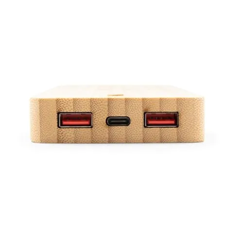 powerbank powerbank