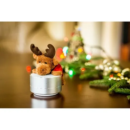 Wireless speaker, radio | Silas