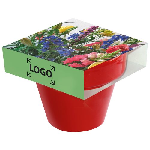 Colour Pot Flower Greetings