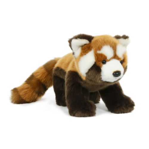 Peluche Peluche