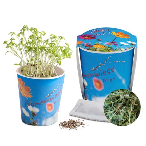 Flower meadow to-go - Thyme - neutral