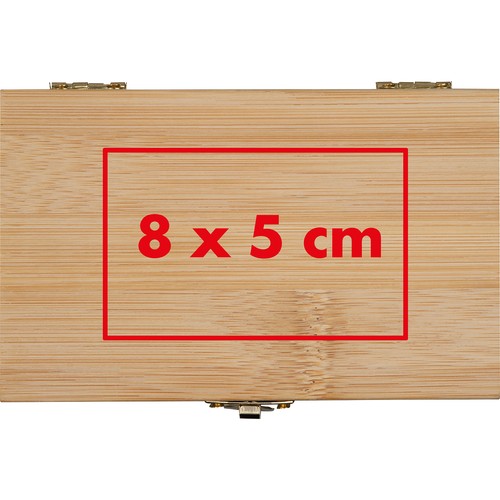 Ice cube set in Bamboo case