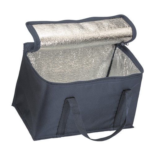 Cooler bag with silver interior