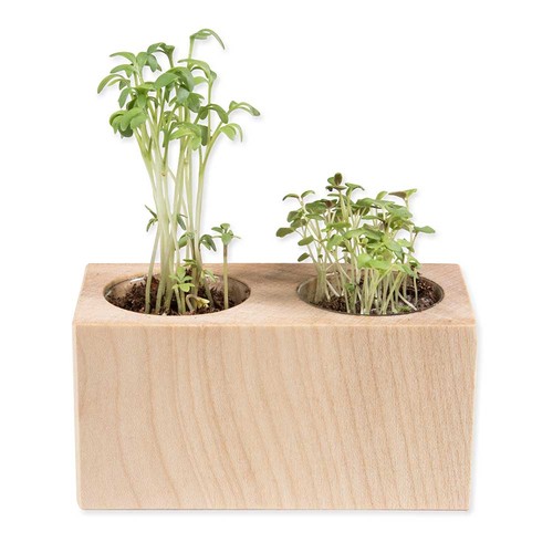 Pflanz-Holz 2er Set mit Samen - Kräutermischung Pflanz-Holz 2er Set mit Samen - Kräutermischung