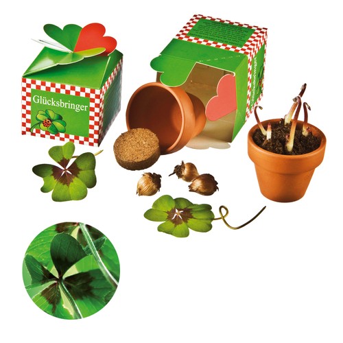 Geluk in een doos - Plantset - Klavertje Vier Geluk in een doos - Plantset - Klavertje Vier