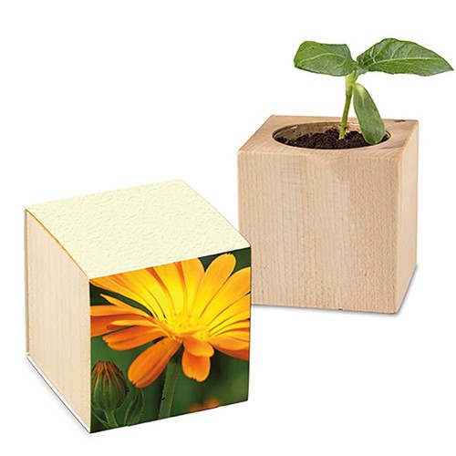 cubo publicitario cubo publicitario