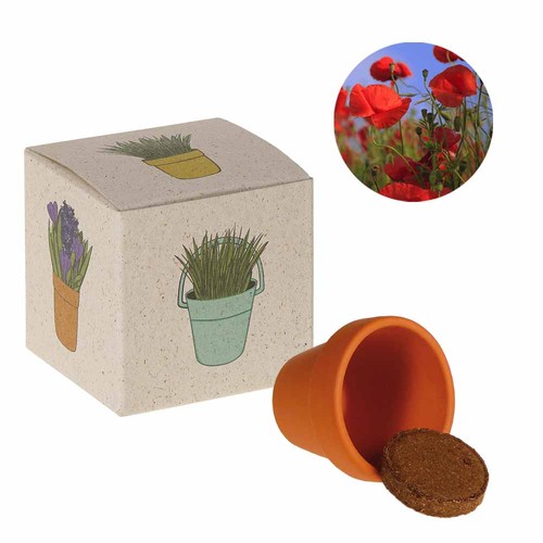 Cube de graines promotionnel (papier d'herbe) - Coquelicot