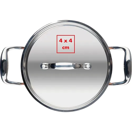 Casserole à induction avec couvercle Casserole à induction avec couvercle